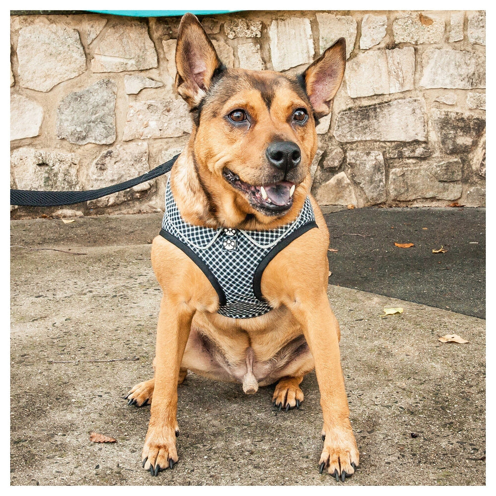 Pet Life ® 'Checkerwag' Checkered Mesh Reversed and Adjustable Fashion Dog Harness