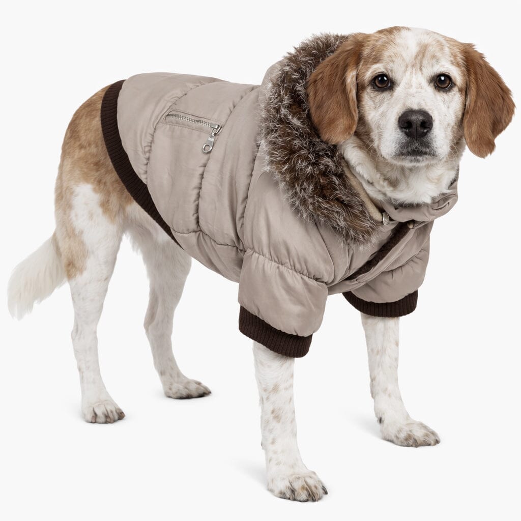 Pet Life ® Classic Metallic Fashion 3M Insulated Dog Coat Parka  w/ Removable Hood