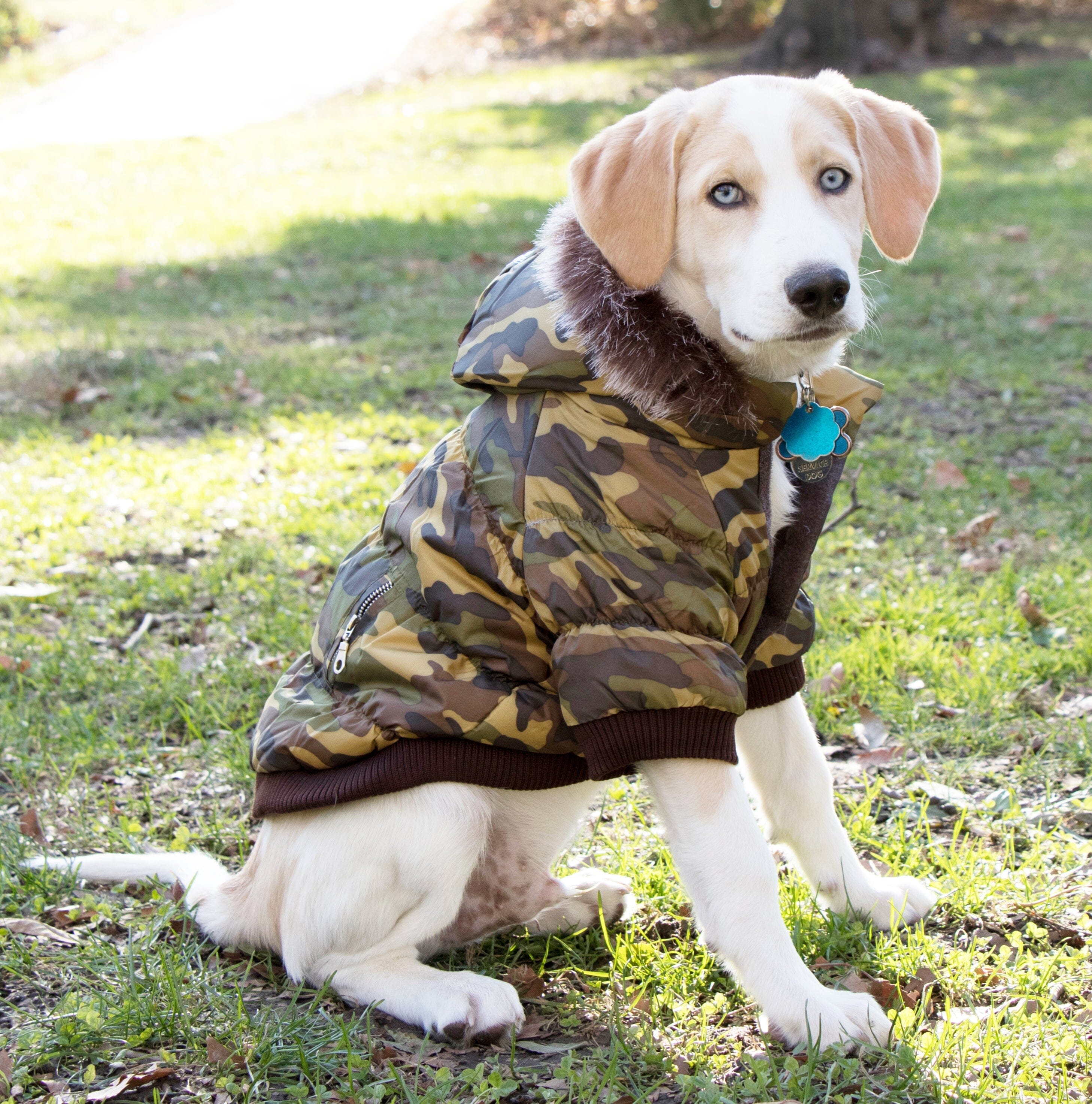 Pet Life ® Classic Metallic Fashion 3M Insulated Dog Coat Parka  w/ Removable Hood