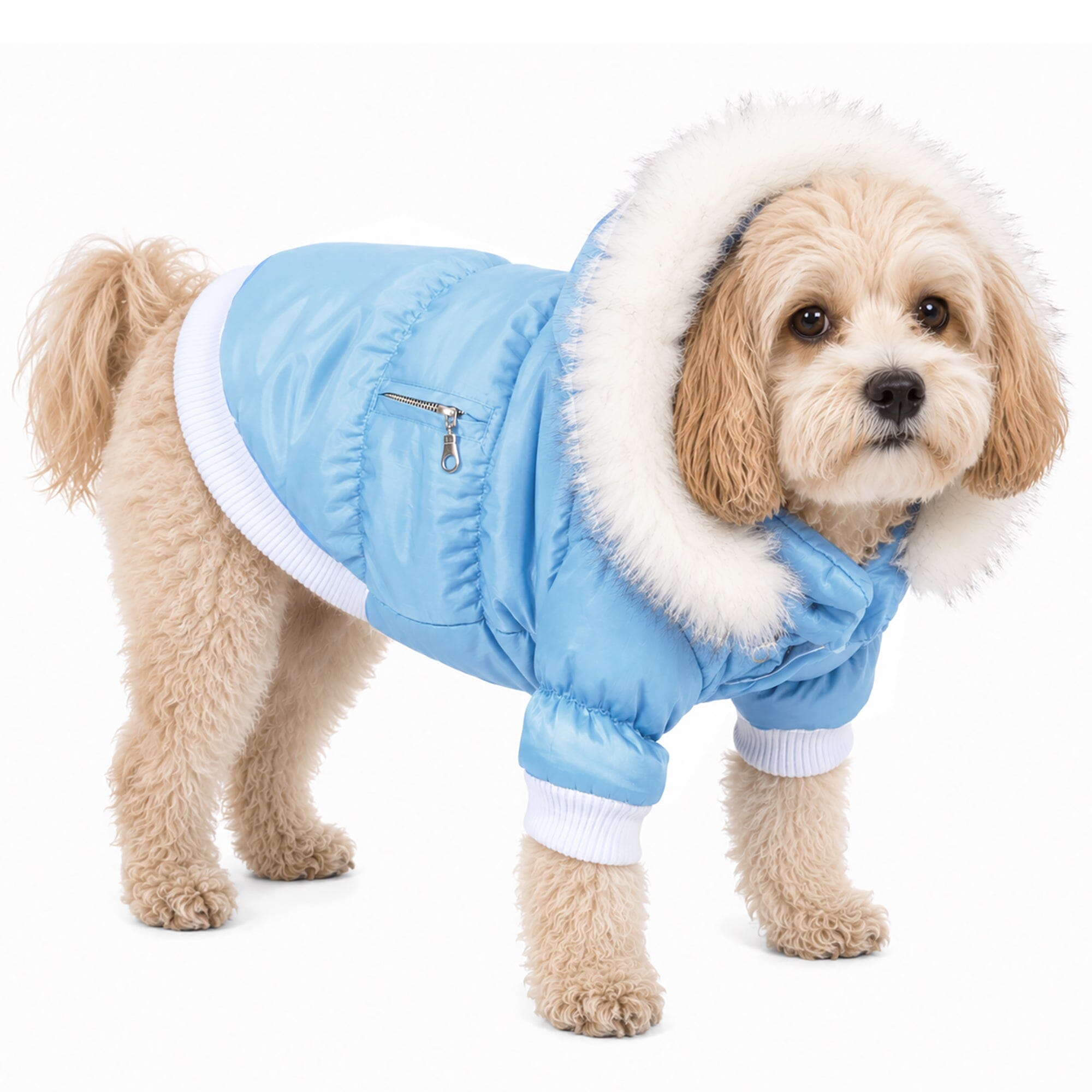 Pet Life ® Classic Metallic Fashion 3M Insulated Dog Coat Parka  w/ Removable Hood