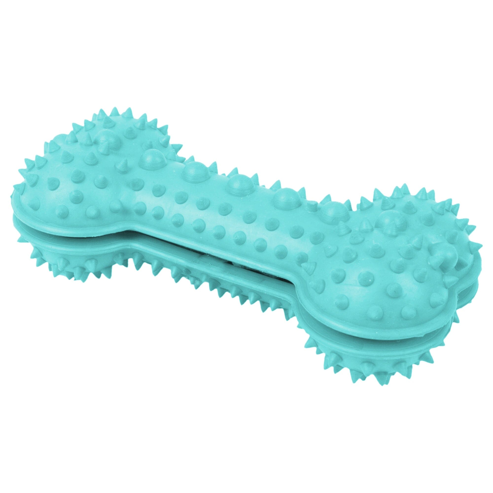 Pet Life ® 'Denta-Bone' TPR Treat Dispensing and Dental Cleaning Durable Dog Toy