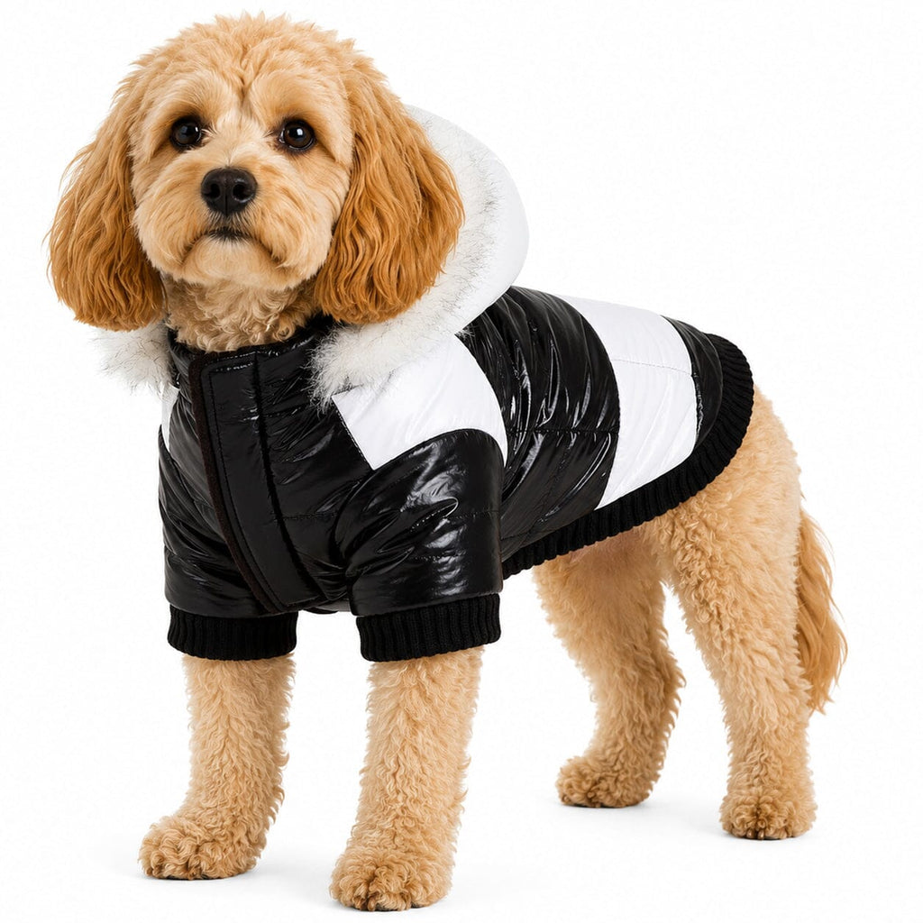 Pet Life ® Fashion Striped 3M Insulated Ultra-Plush Pet Dog Parka Coat w/ Removable Hood