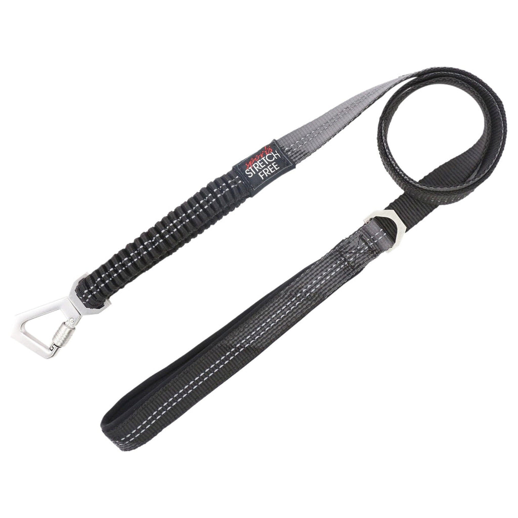 Pet Life ® 'Geo-prene' 2-in-1 Shock Absorbing Neoprene Padded Reflective Dog Leash and Harness