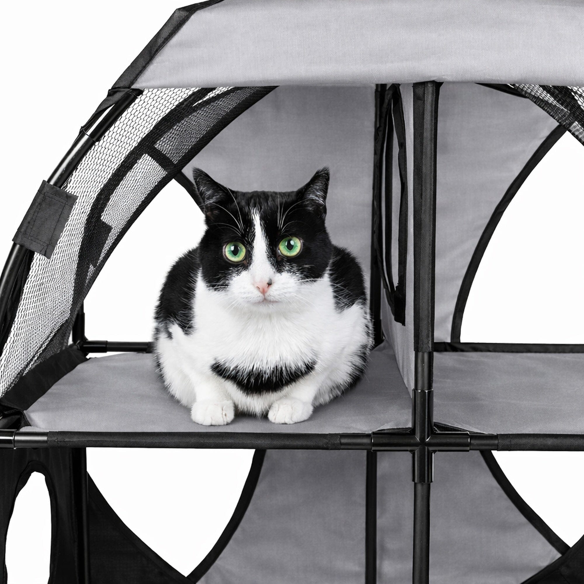 Pet Life ® 'Kitty-Play' Collapsible Travel Interactive Kitty Cat Tree Maze House Lounger Tunnel Lounge
