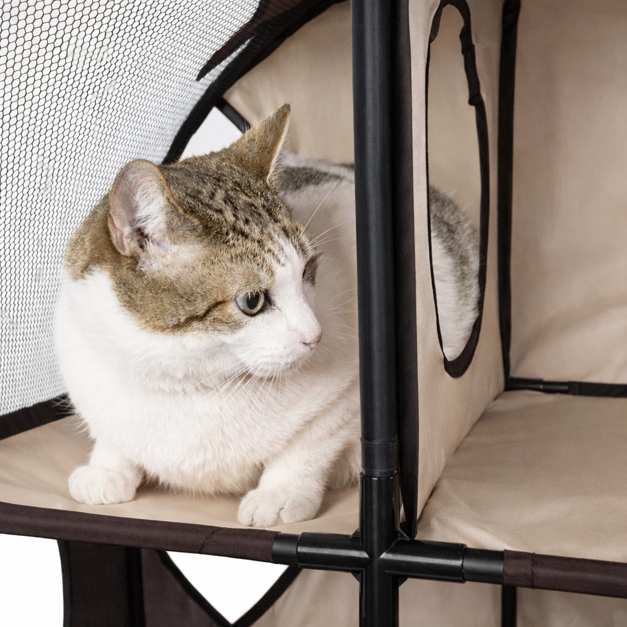 Pet Life ® 'Kitty-Play' Collapsible Travel Interactive Kitty Cat Tree Maze House Lounger Tunnel Lounge
