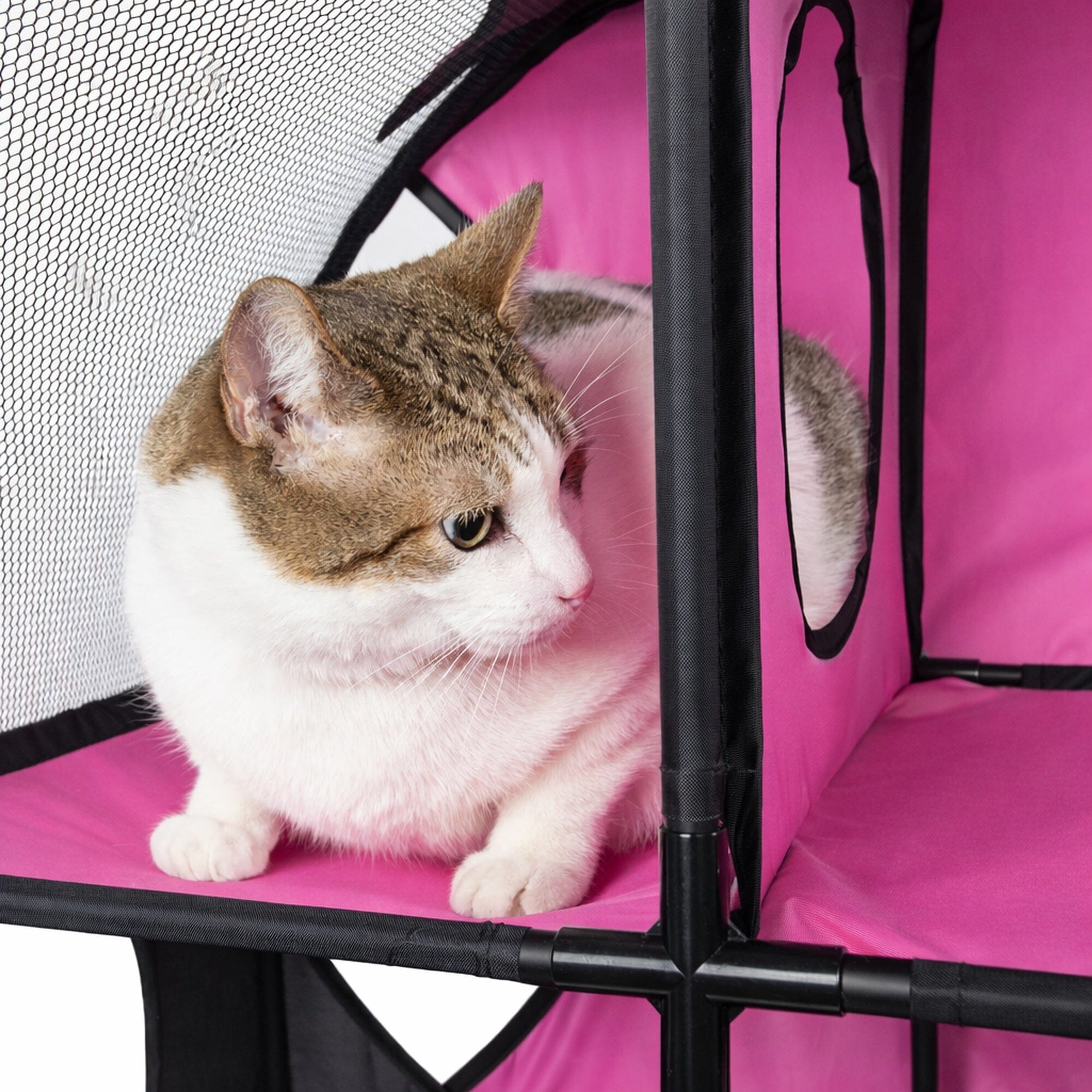 Pet Life ® 'Kitty-Play' Collapsible Travel Interactive Kitty Cat Tree Maze House Lounger Tunnel Lounge