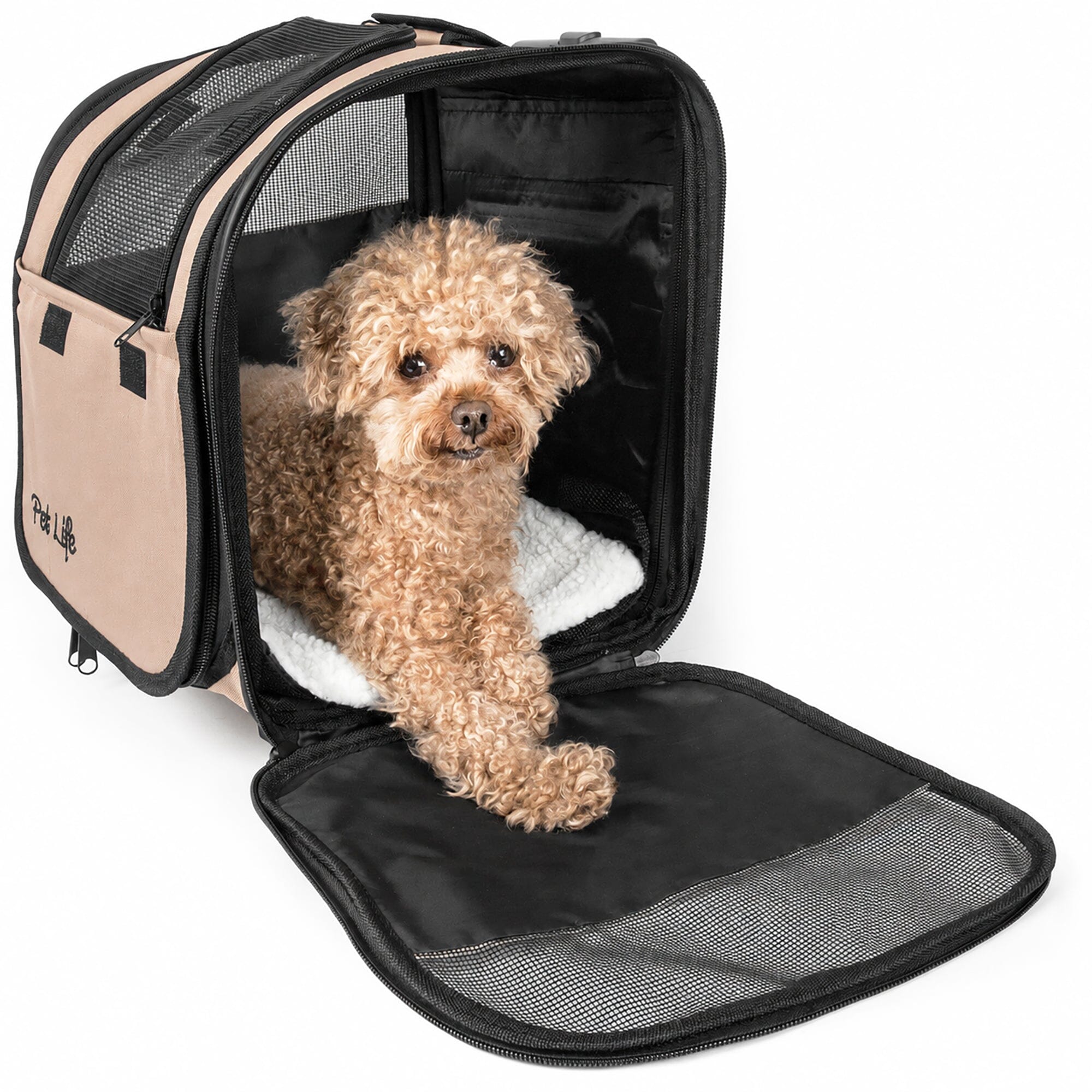 Pet Life ® 'Pawdon Me '  Wheeled Airline Approved Travel Collapsible Pet Dog Carrier