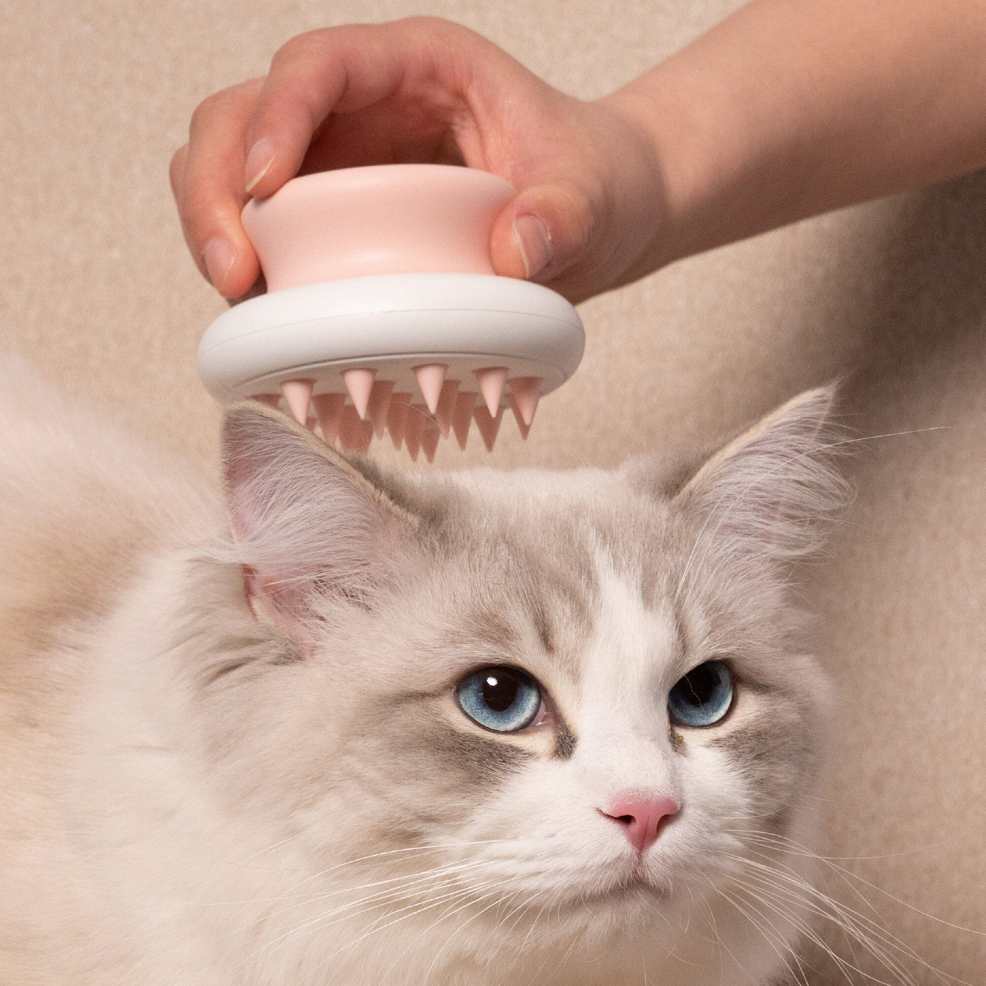 Pet Life ® 'Scwubba' Handheld Bathing Brushing and Massaging Soft Flexible Grooming Pet Comb