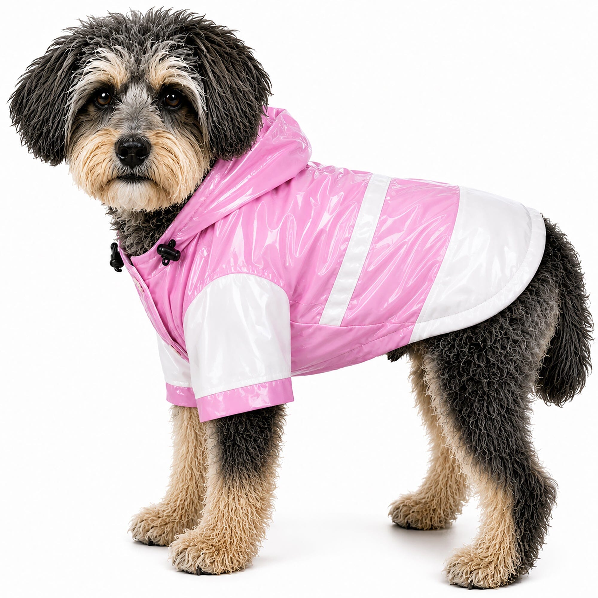 Pet Life ® 'Two-Tone' Waterproof Adjustable Dog Raincoat Jacket w/ Removable Hood