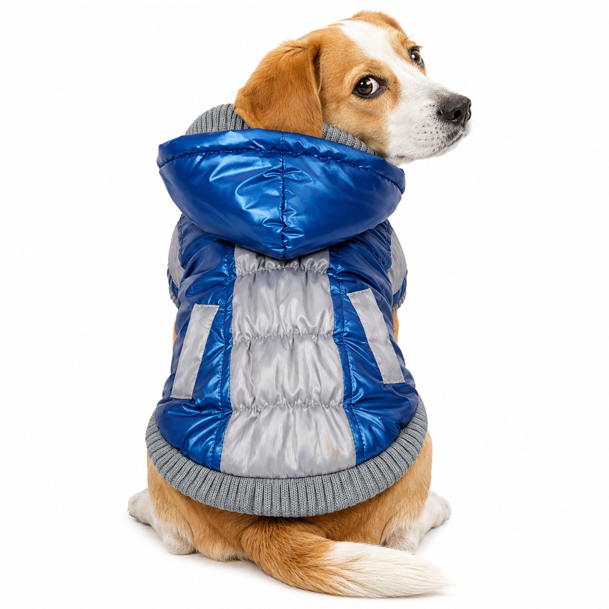 Pet Life ® 'Vintage Aspen' 3M Insulated Sporty Ski Dog Jacket w/ Removable Hood