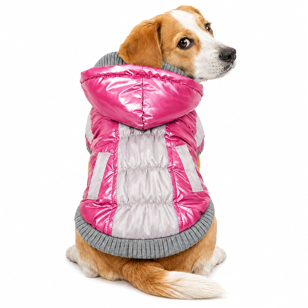 Pet Life ® 'Vintage Aspen' 3M Insulated Sporty Ski Dog Jacket w/ Removable Hood