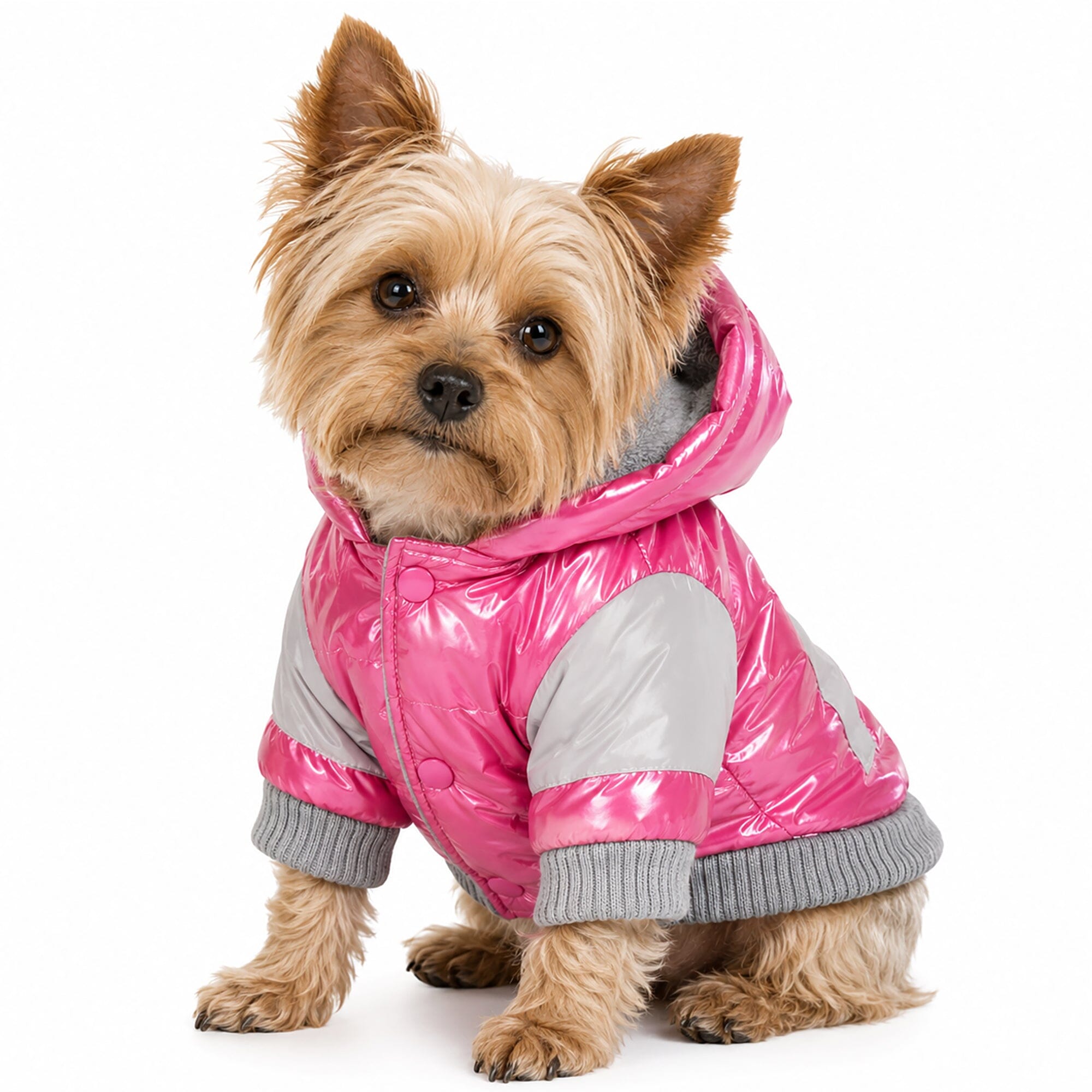Pet Life ® 'Vintage Aspen' 3M Insulated Sporty Ski Dog Jacket w/ Removable Hood