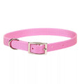 Coastal Dog Collar 12" Pink