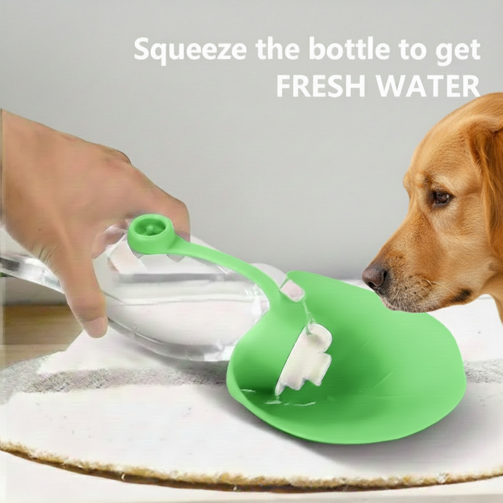 Portable Water Bottle