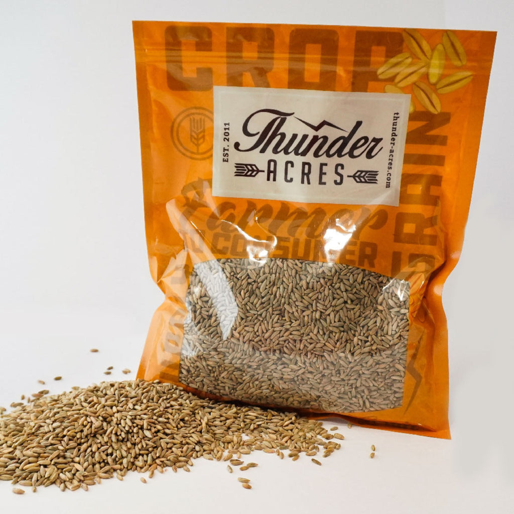 Organic Winter Rye Seeds, Non-GMO, Glyphosate Free, Organic.