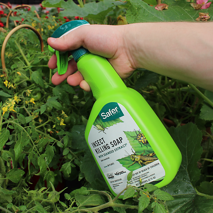 Safer Insect Killing Soap - Ready To Use