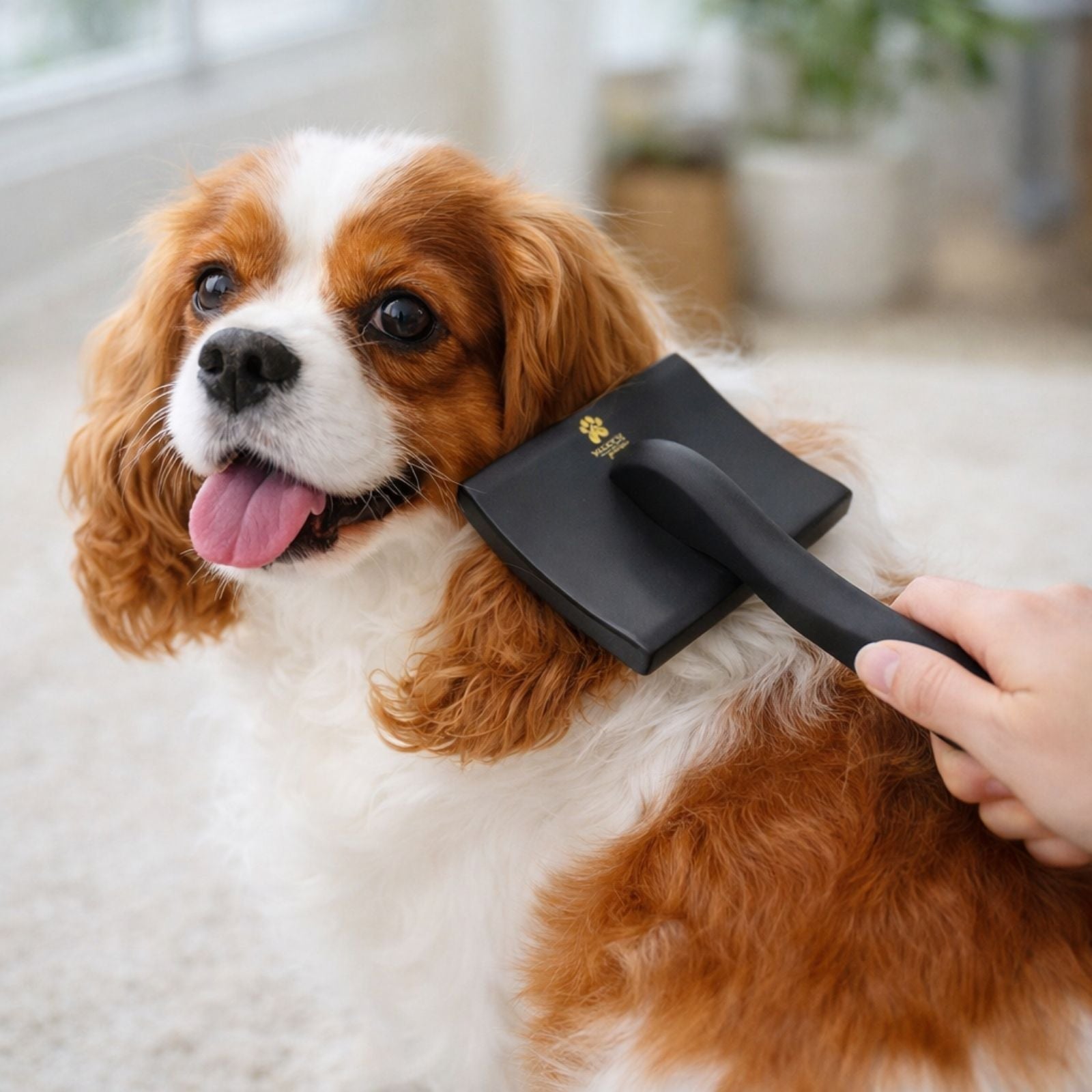 Pro Slicker Brush for Dog Coats