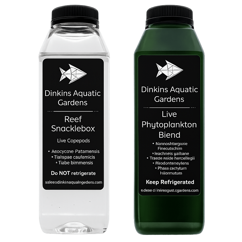 Reef Snacklepack Combo: Live Copepods + Live Phytoplankton