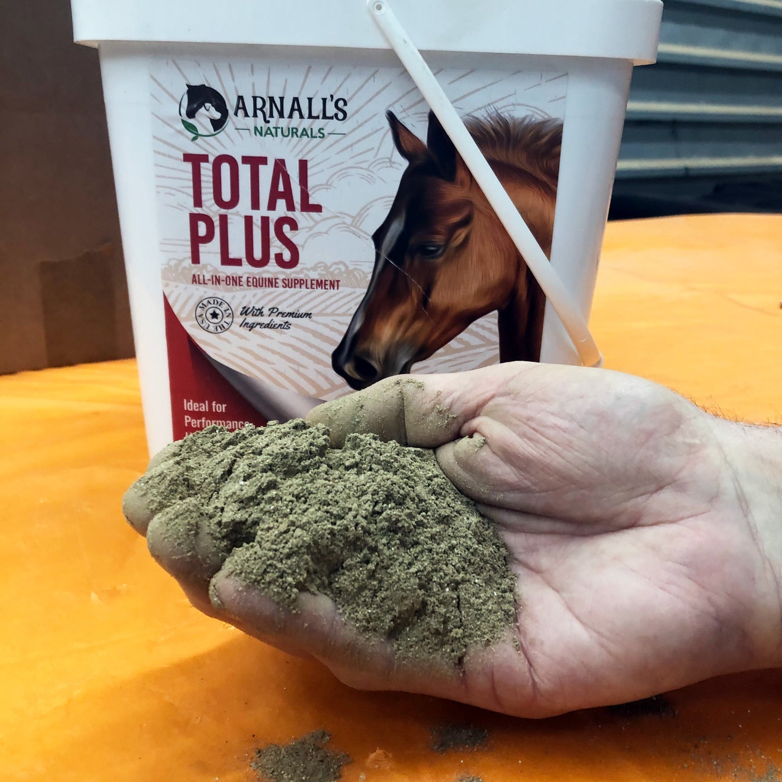 Total Plus: Performance Wellness and Maintenance
