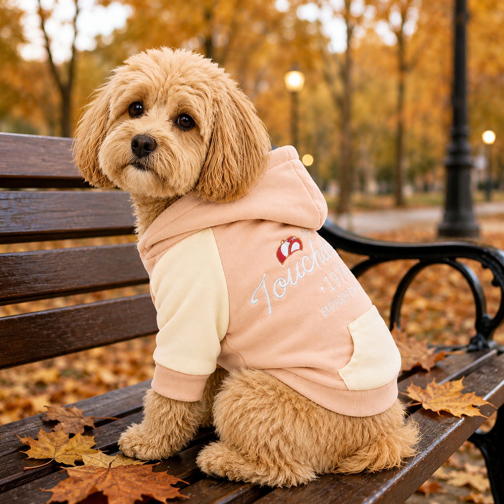 Touchdog 'Heritage' Soft-Cotton Fashion Dog Hoodie Sweater