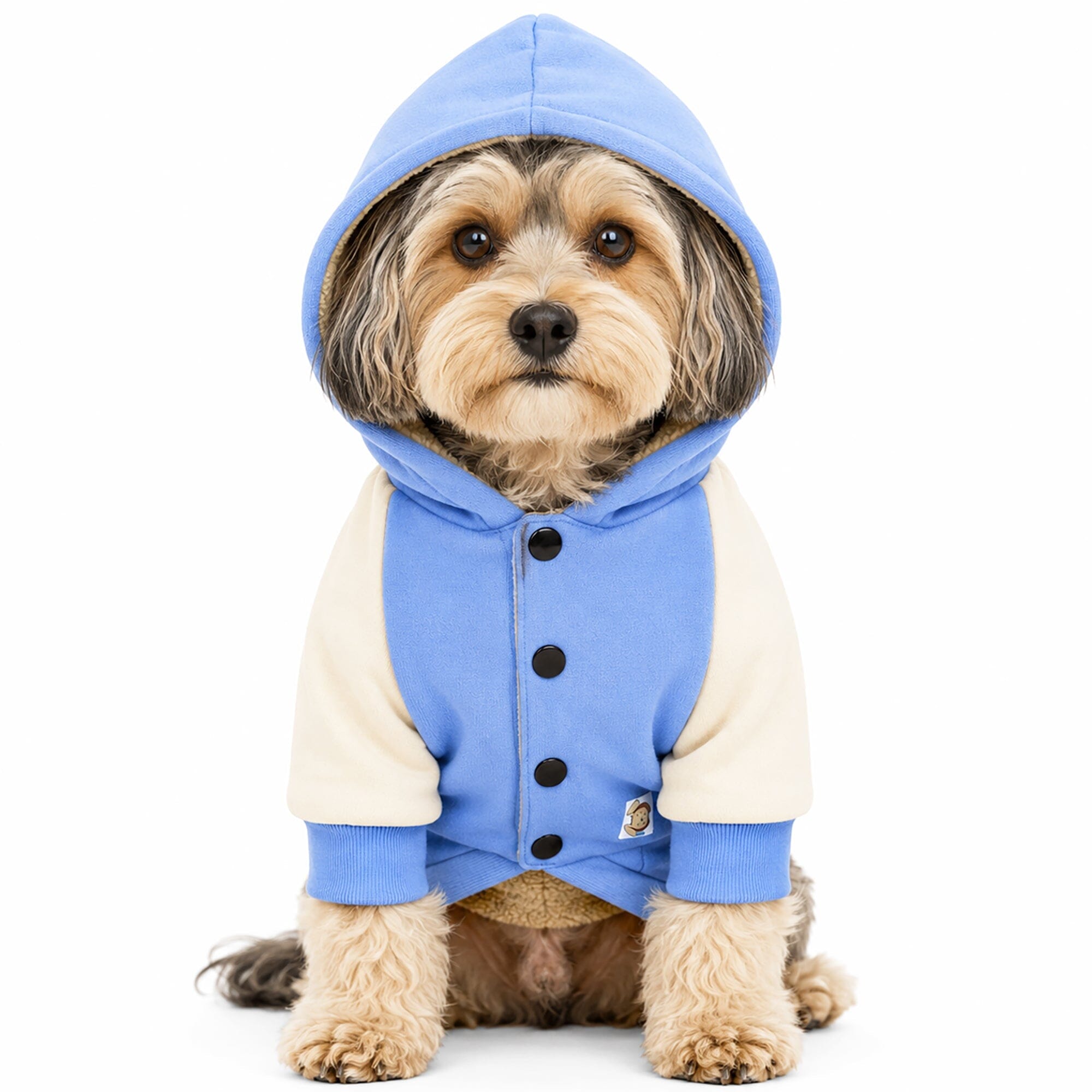 Touchdog 'Heritage' Soft-Cotton Fashion Dog Hoodie Sweater