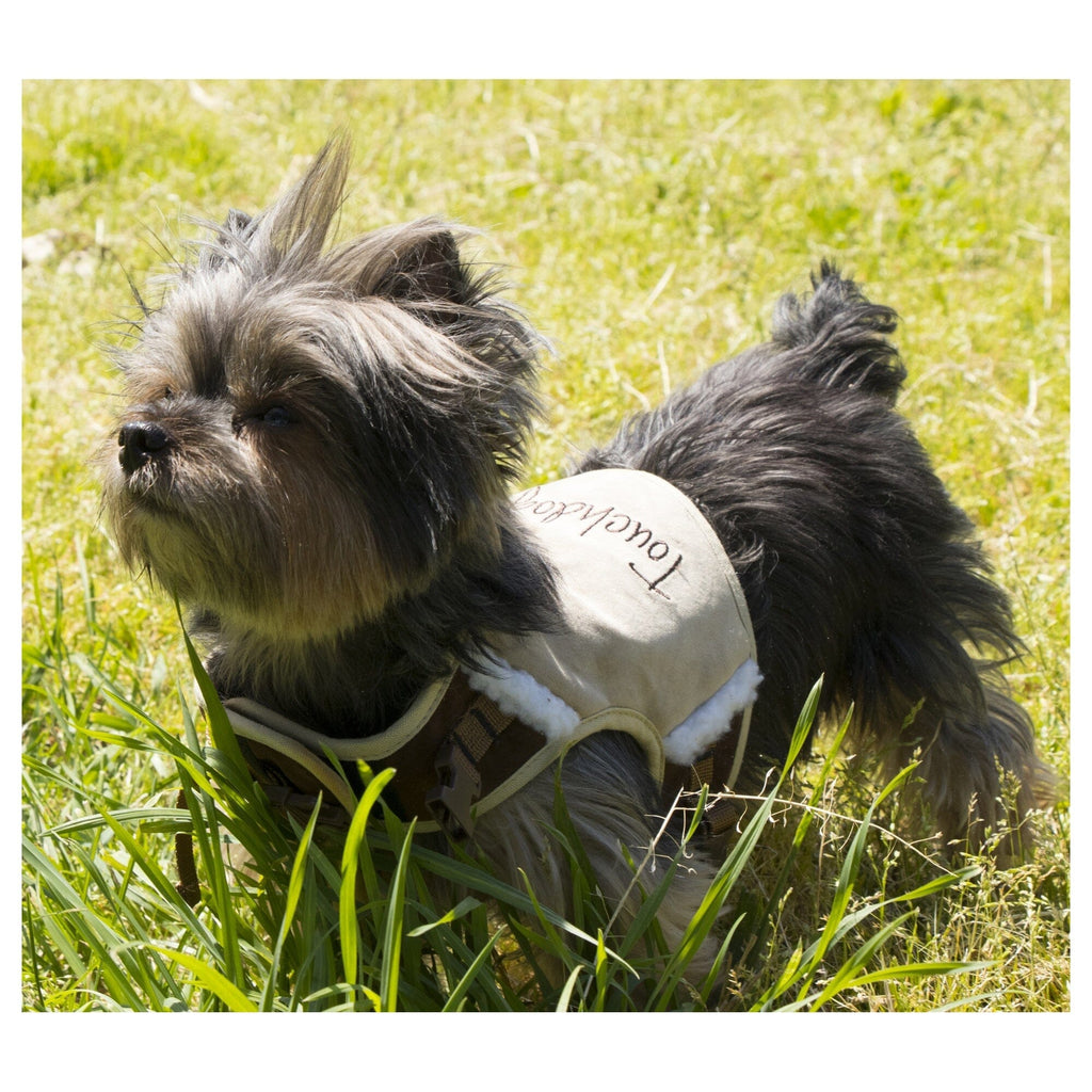 Touchdog ® 'Tough-Boutique' 2-in-1 Adjustable Fashion Dog Harness and Leash