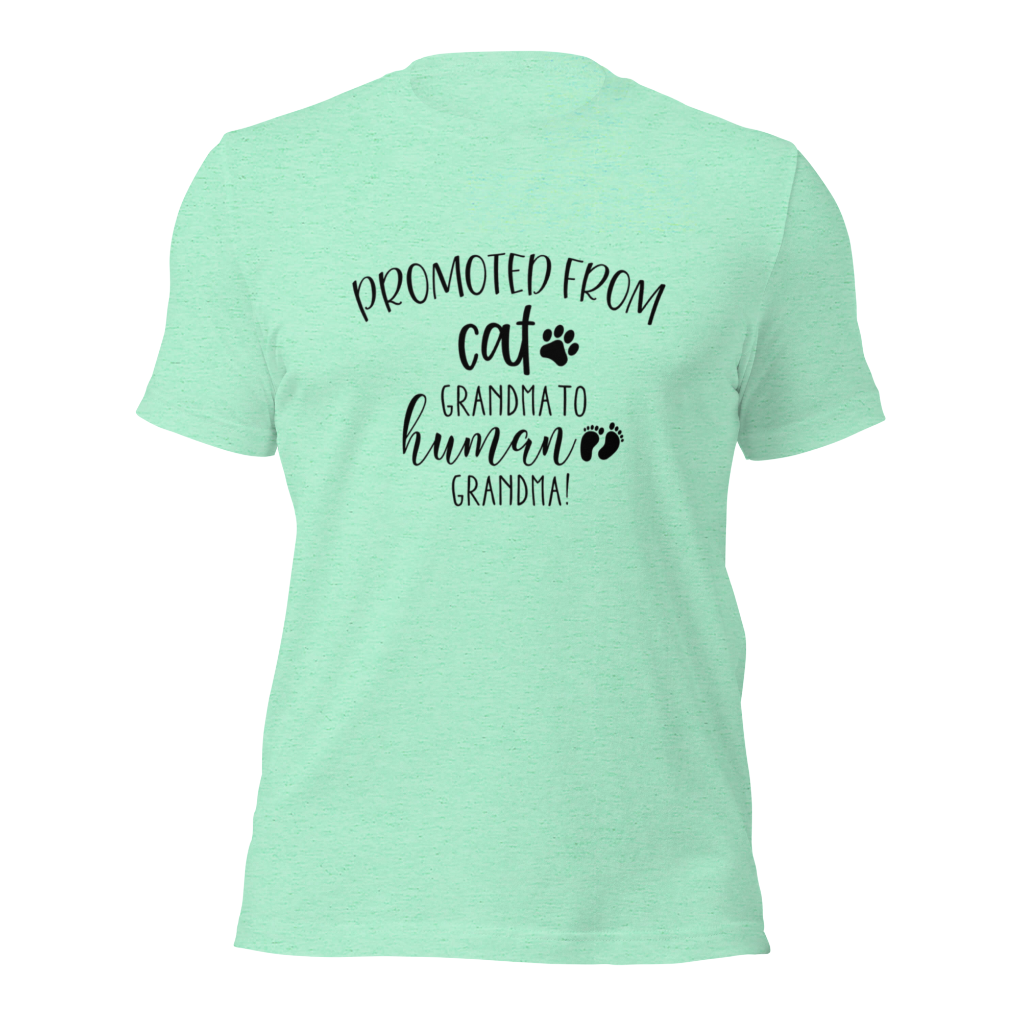 Promoted from Cat Grandma to Human Grandma T-Shirt