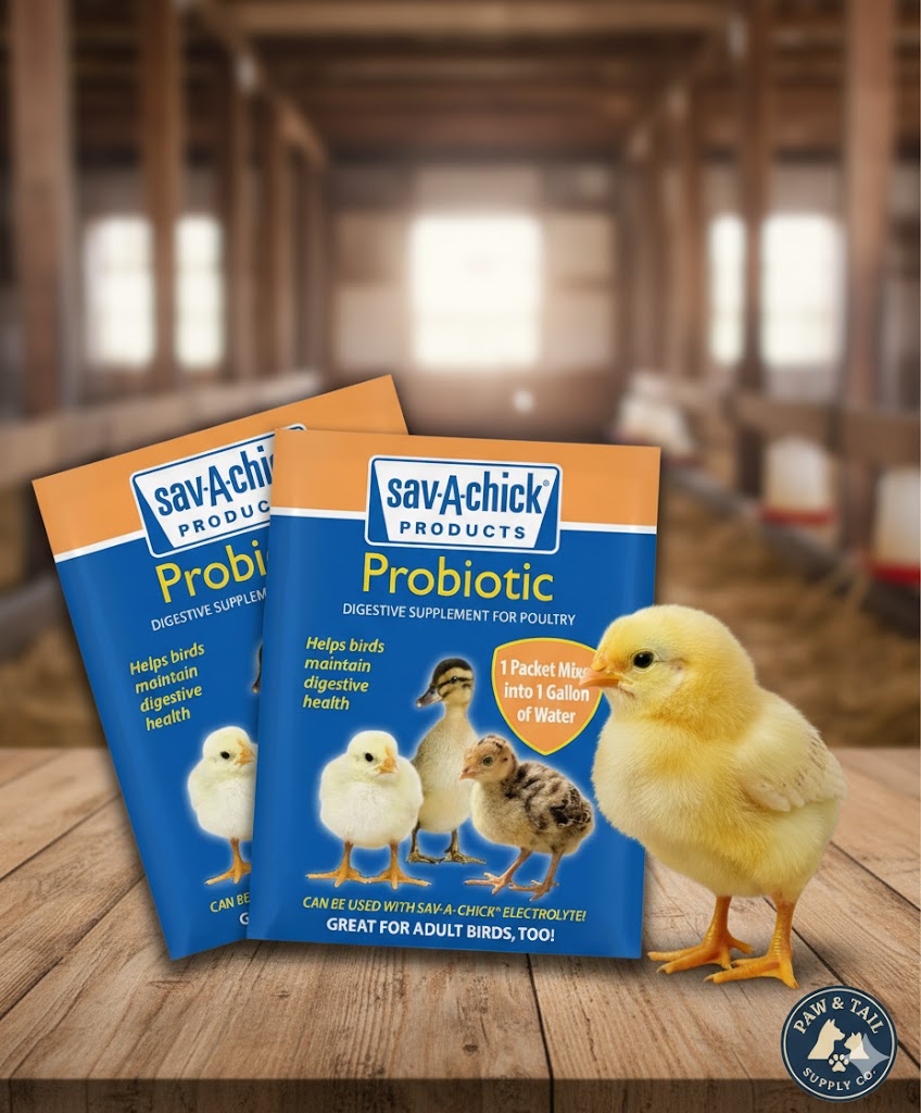 Chicken Sav-a-chick 18pk Bundle Electrolyte Vitamin & Probiotic Poultry Health Packets