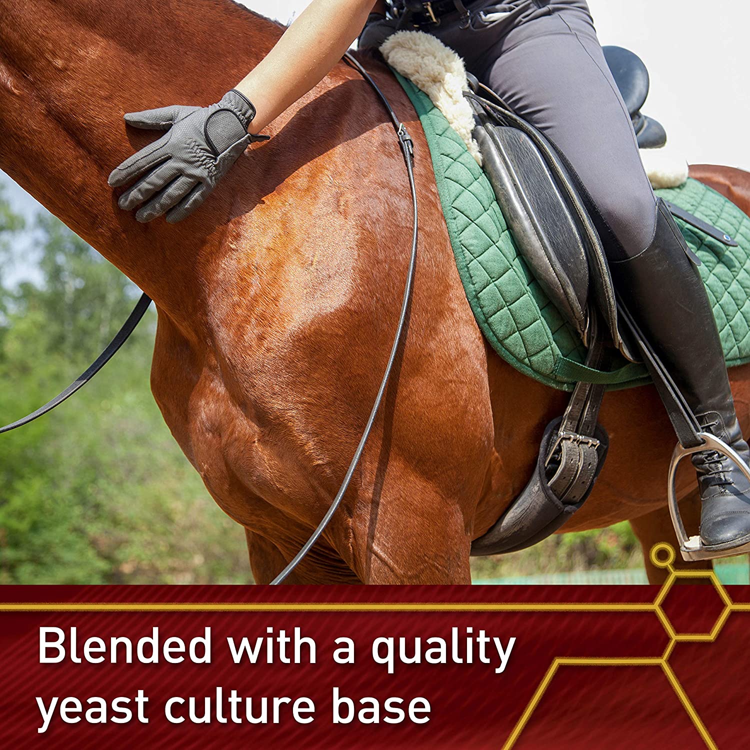Vita Flex E and Selenium Supplement for Horses 20lbs. 320 Day Supply