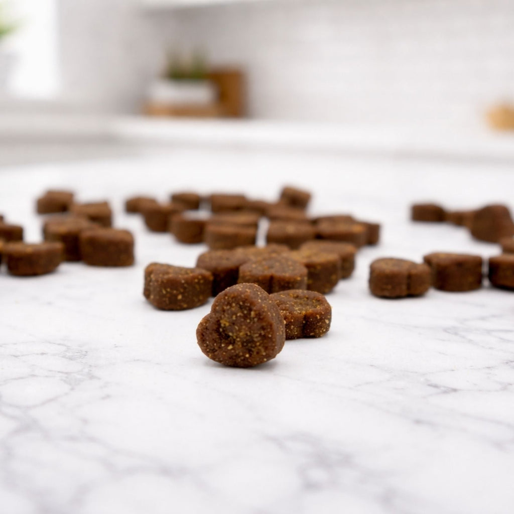 Vita Nibbles Dog Multivitamins